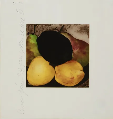 Siebdruck Sultan - Lemon Juice and Pears from Fruits and Flowers