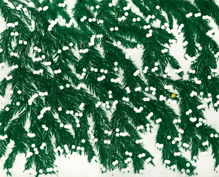 Multiple Sultan - Mimosa, April 12, 2023