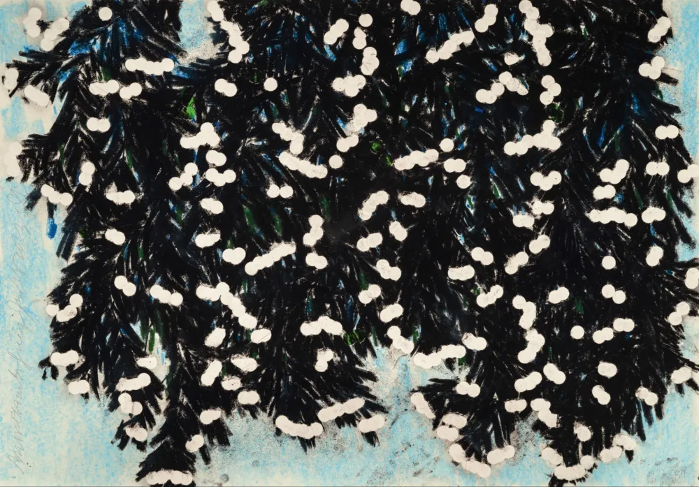 Multiple Sultan - Mimosa with Green, Jan 25, 2023