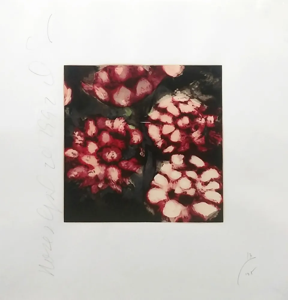 Siebdruck Sultan - ROSES