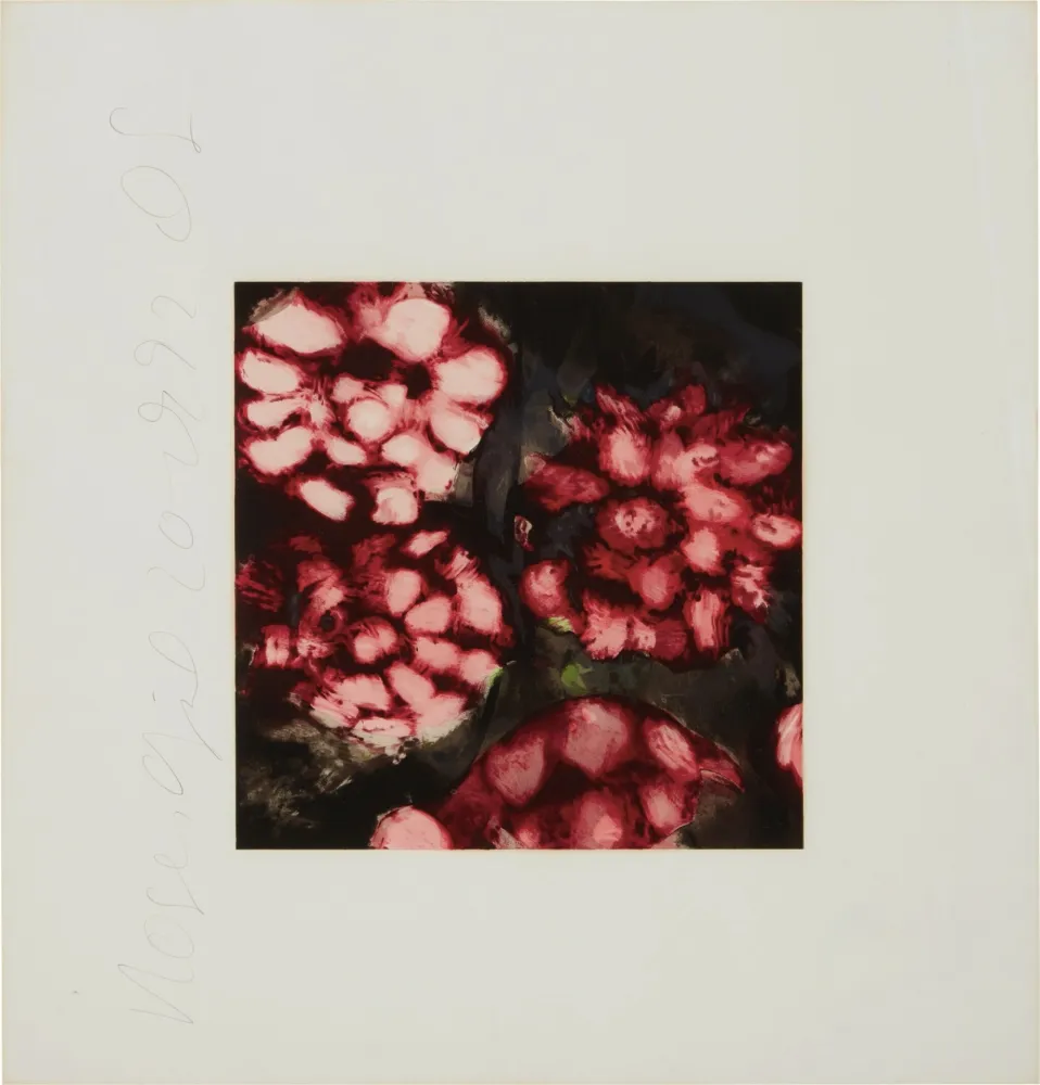 Siebdruck Sultan - Roses from Fruits and Flowers