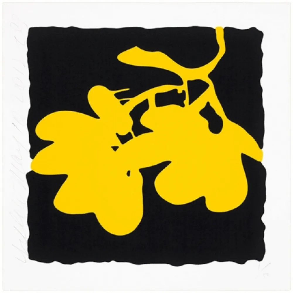 Siebdruck Sultan - Yellow, May 10, 2012