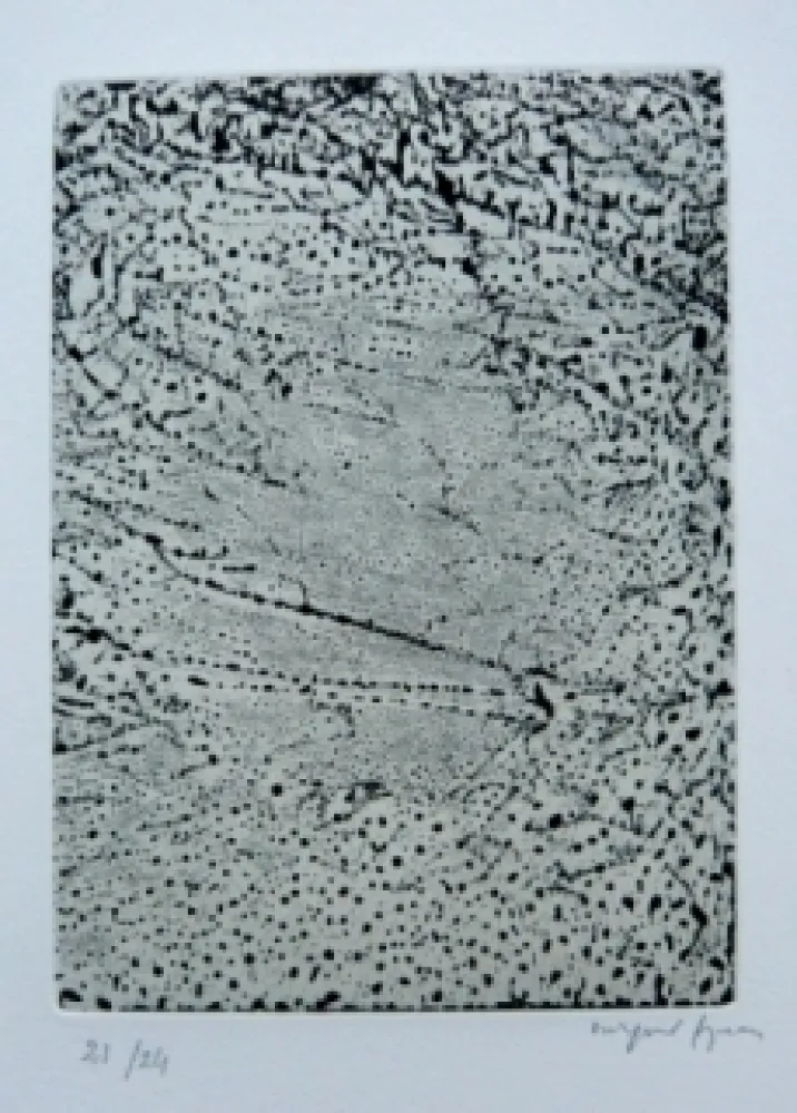 Stich Szenes - Savoir de vulcain 1