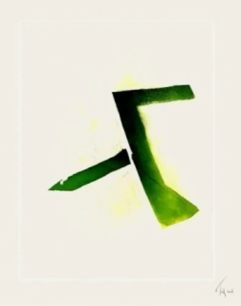 Aquatinta Tal Coat - Acide