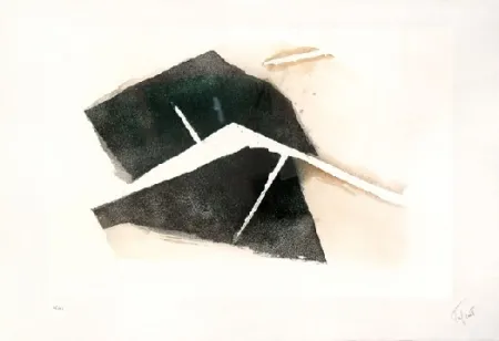 Radierung Und Aquatinta Tal Coat - Terres abreuvées