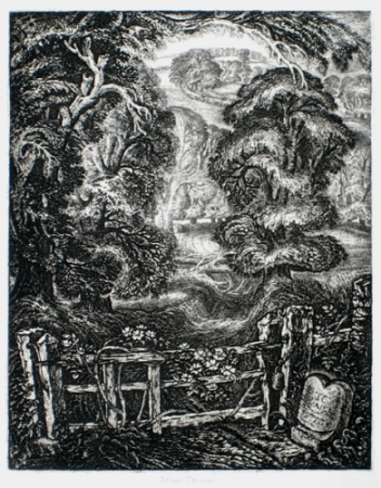 Stich Tanner - The Old Road:  Elegy for the English Elm I