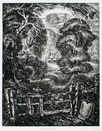 Stich Tanner - The Old Road:  Elegy for the English Elm I