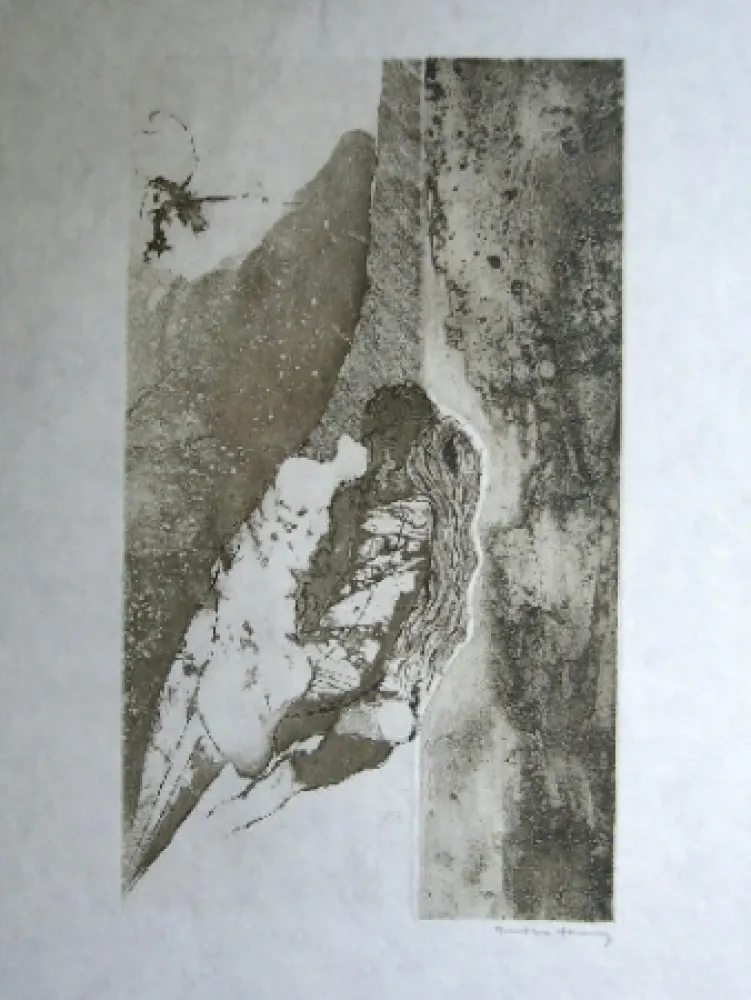 Aquatinta Tanning - Sans titre