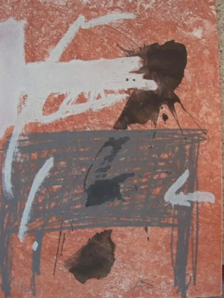 Radierung Tàpies - BOIS DES CERFS (Libro)