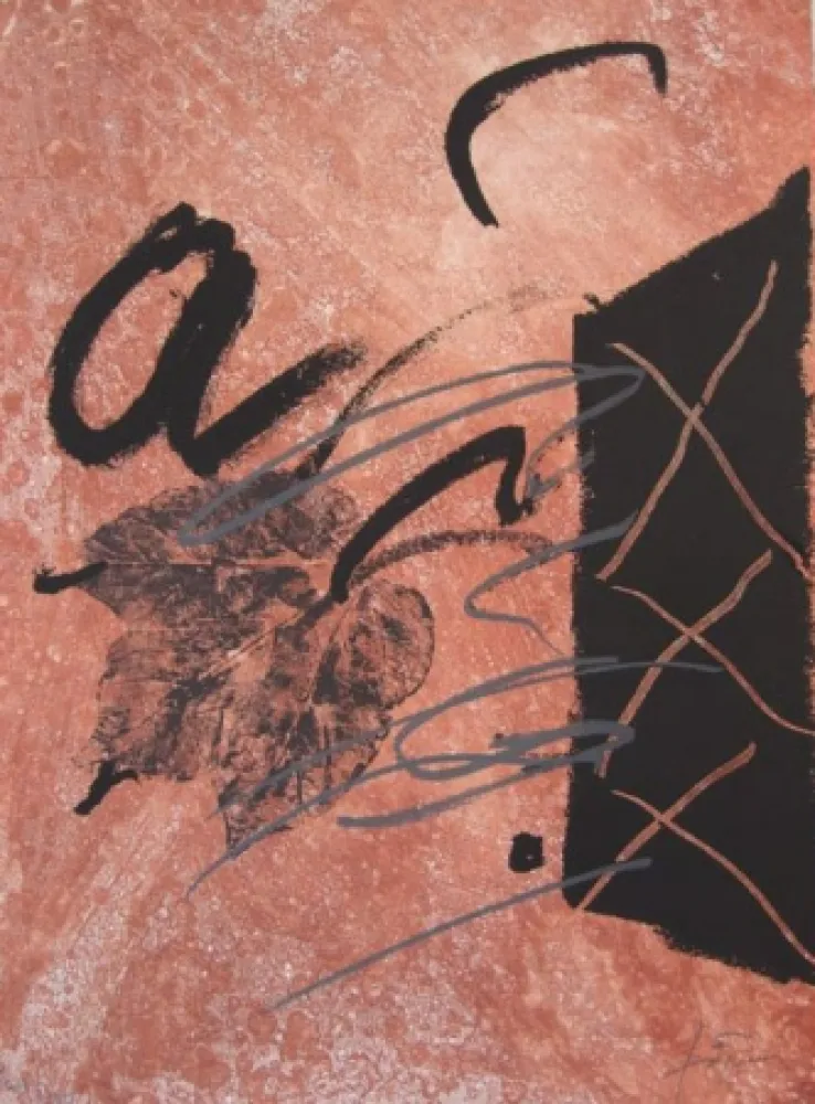 Radierung Tàpies - BOIS DES CERFS (Libro)