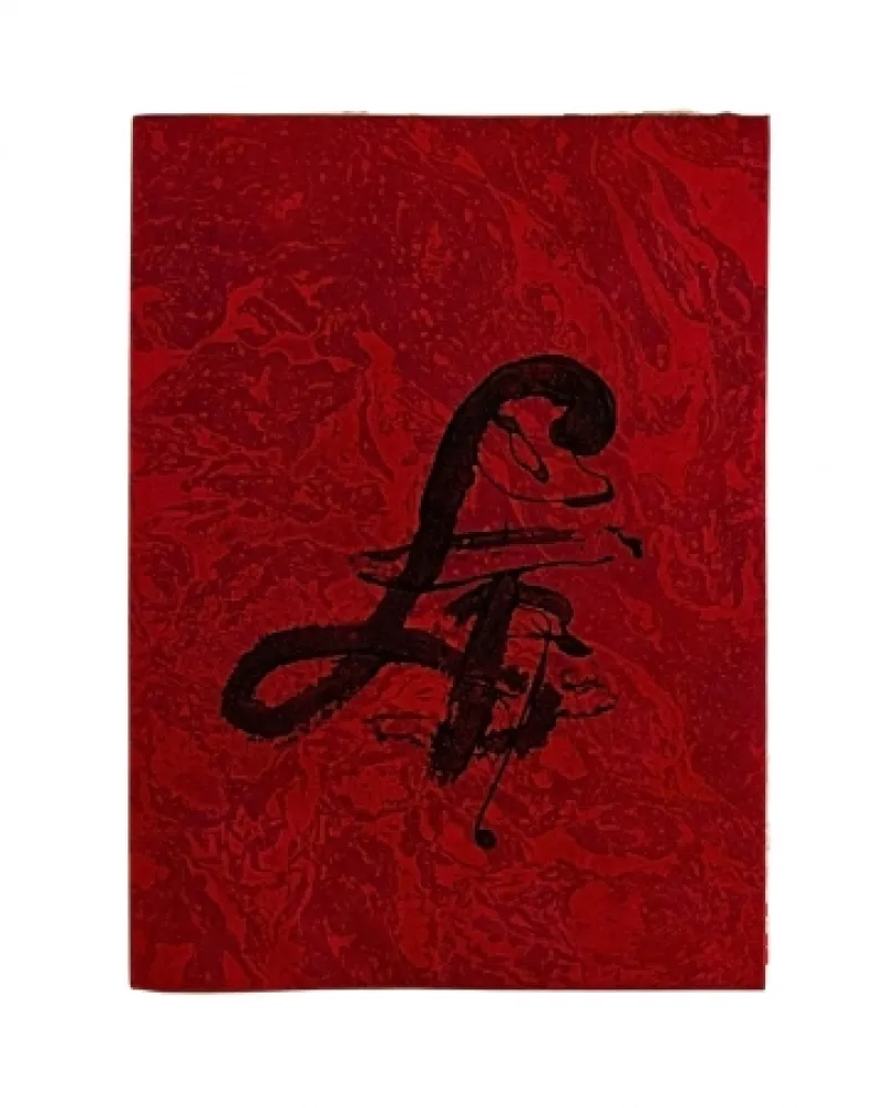 Illustriertes Buch Tàpies - Carrer de Wagner