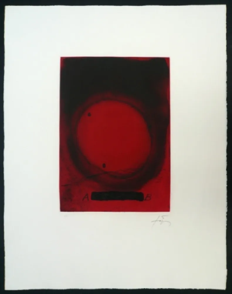 Stich Tàpies - Cercle