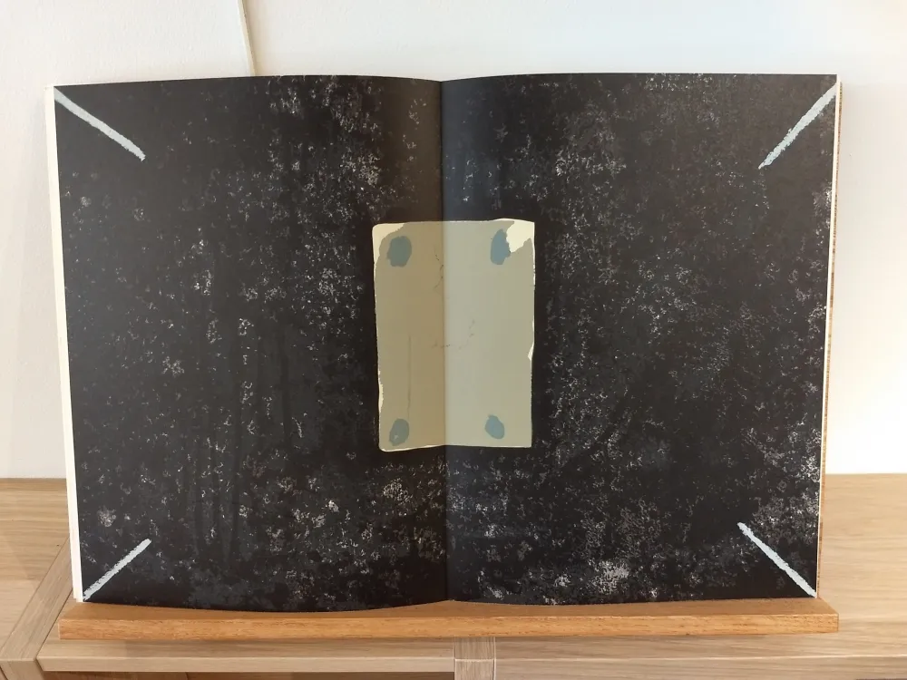 Illustriertes Buch Tàpies - DLM175