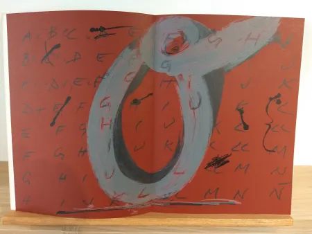 Illustriertes Buch Tàpies - DLM200