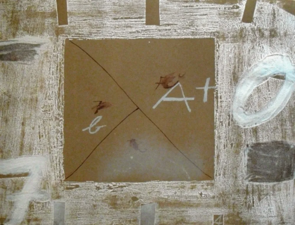 Stich Tàpies - Dossier