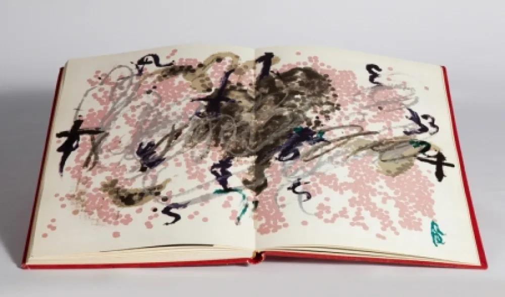 Illustriertes Buch Tàpies - Fregolí 