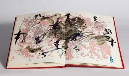 Illustriertes Buch Tàpies - Fregolí 