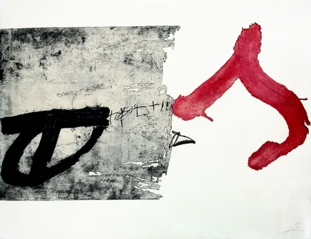 Stich Tàpies - La lettre S
