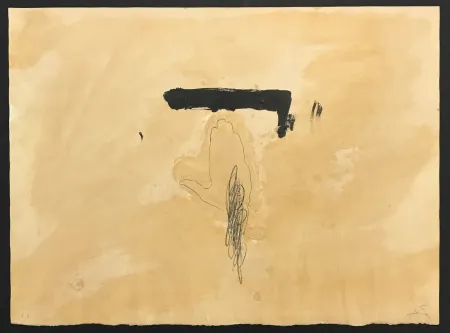 Stich Tàpies - La Main 
