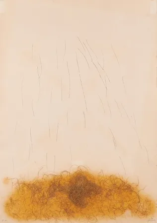 Radierung Tàpies - LE CRIN