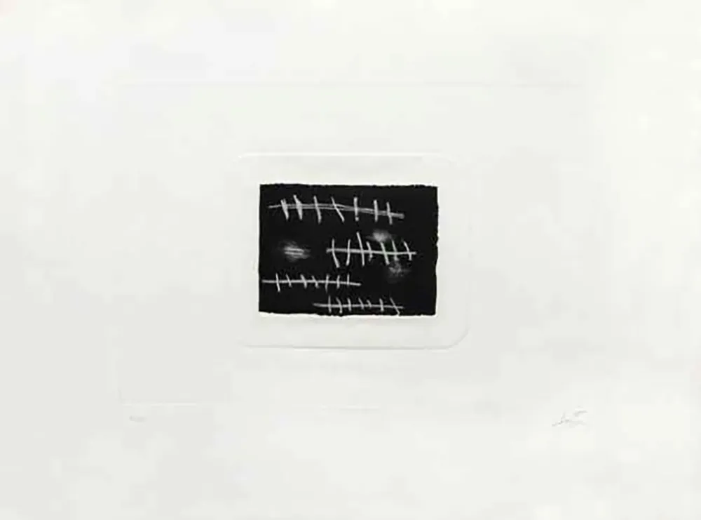 Stich Tàpies - Le Tableau