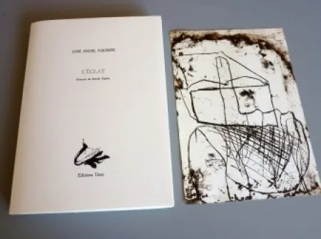 Illustriertes Buch Tàpies - L'éclat - Tàpies