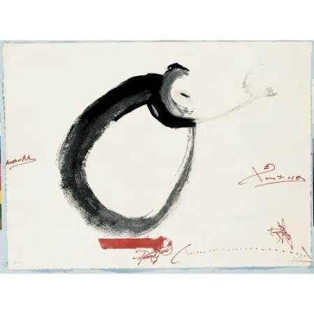 Stich Tàpies - Lletra O