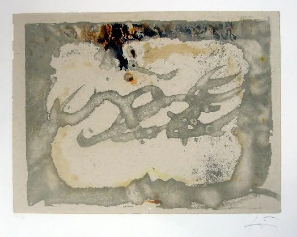 Radierung Und Aquatinta Tàpies - Muntanyes