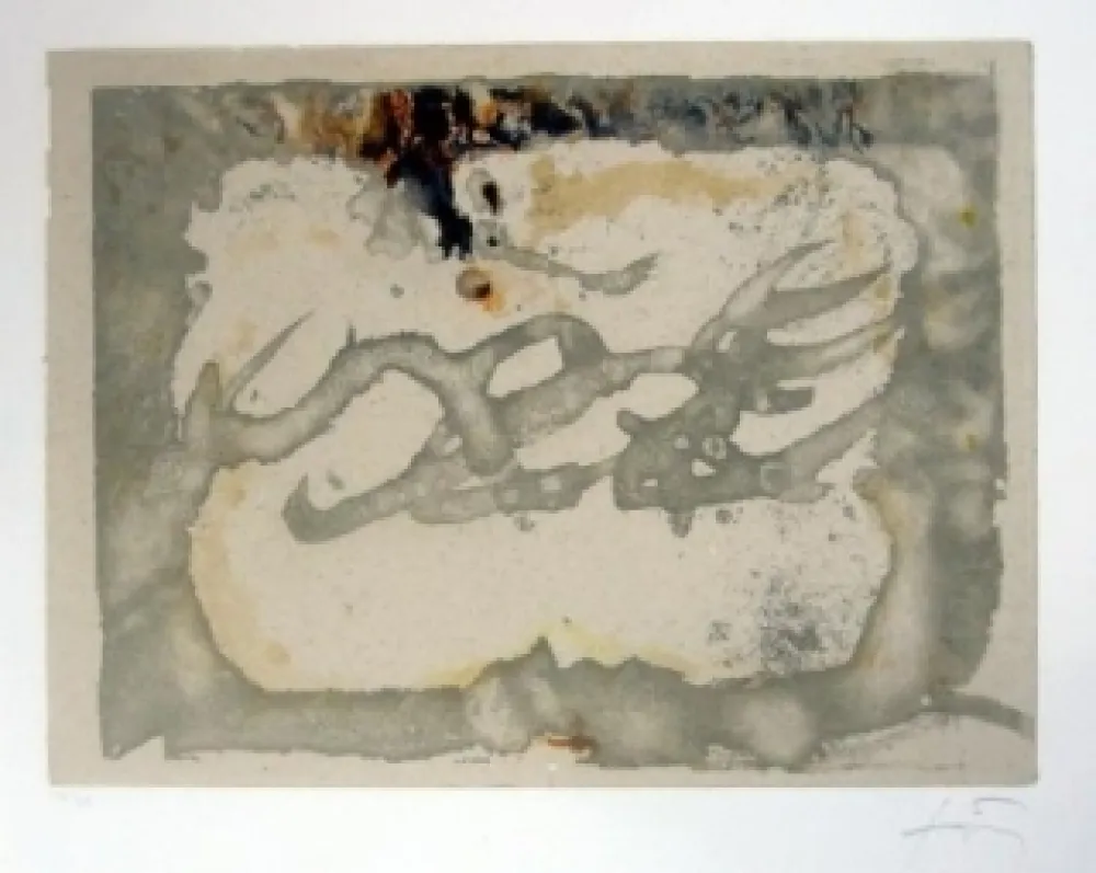 Radierung Und Aquatinta Tàpies - Muntanyes