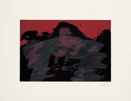 Lithographie Tàpies - Paisatge