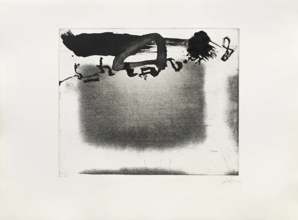 Stich Tàpies - Panier