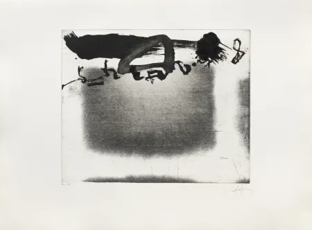 Stich Tàpies - Panier