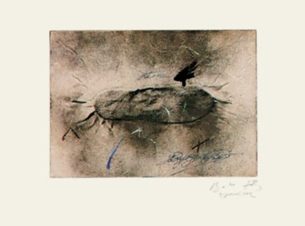 Stich Tàpies - Petjada i Signatures 