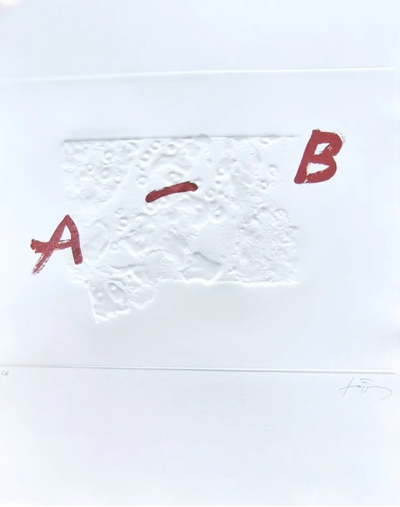 Stich Tàpies - Plus beau cadeau