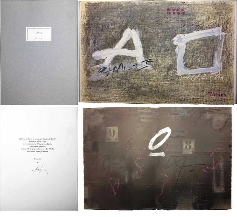 Illustriertes Buch Tàpies - TÀPIES. 