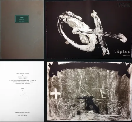 Illustriertes Buch Tàpies - TÀPIES. 