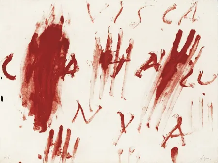 Stich Tàpies - Visca Catalunya