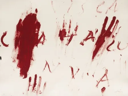 Stich Tàpies - Visca Catalunya	