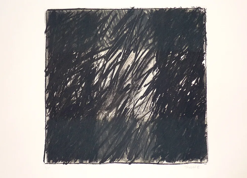 Stich Teixidor - Encrucijada III