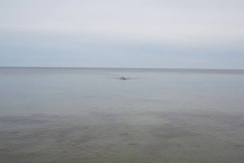 Keine Technische Teller - Swimming, Glemmingebro, Sweden 2015