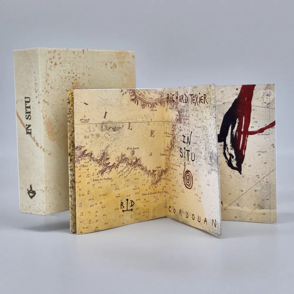 Illustriertes Buch Texier - In situ