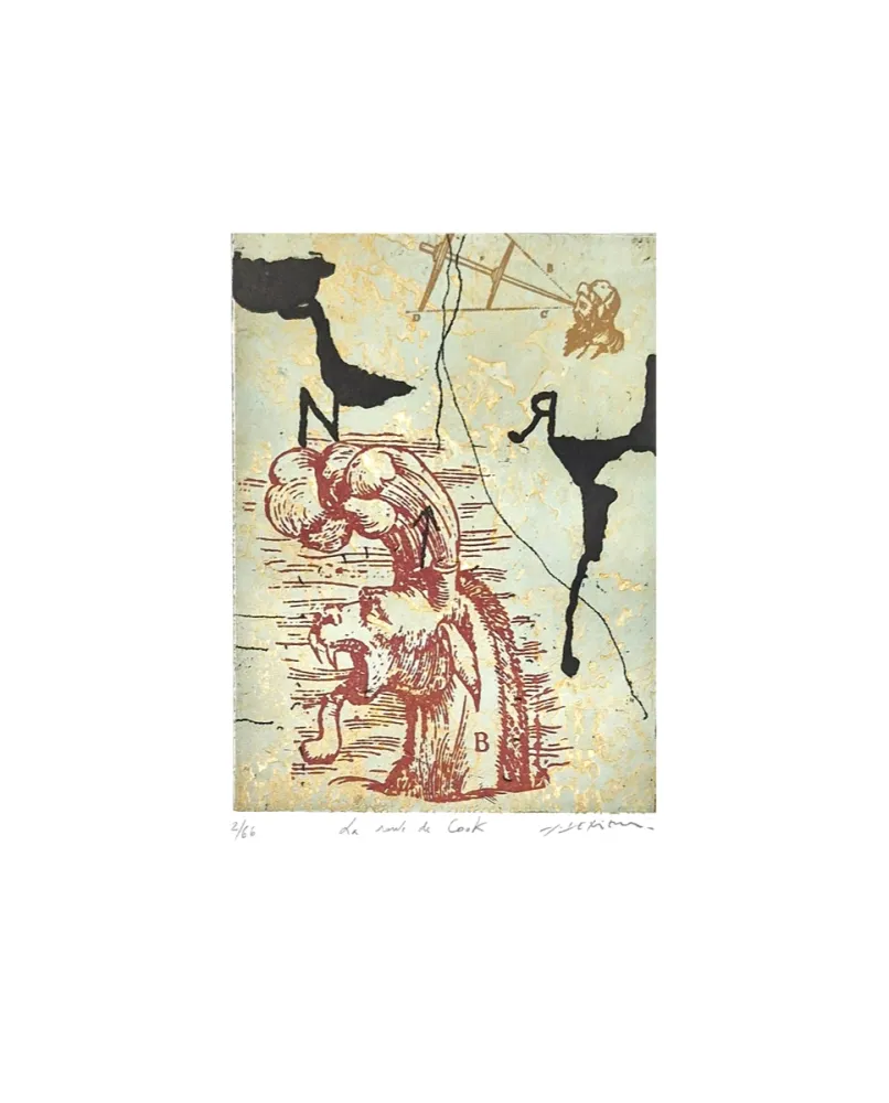 Stich Texier - La route de Cook