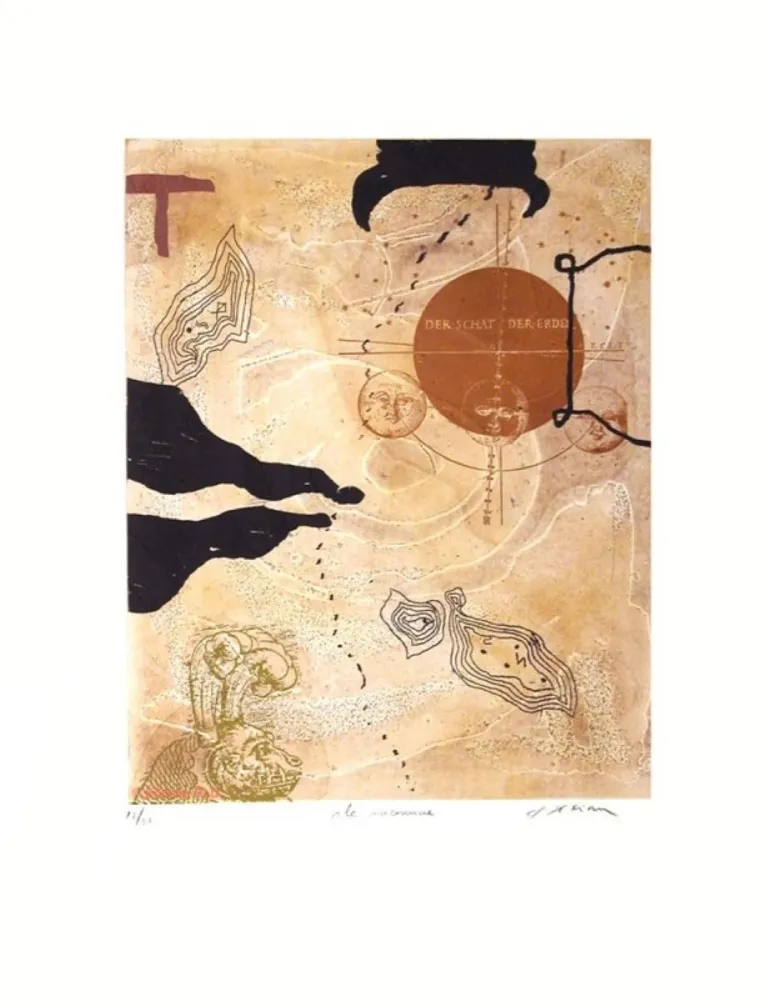 Stich Texier - L'île inconnue