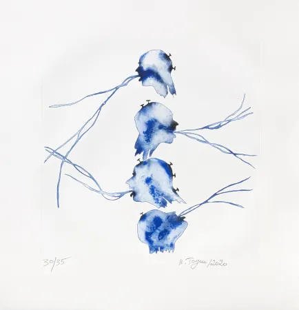 Stich Toguo - Bénoué