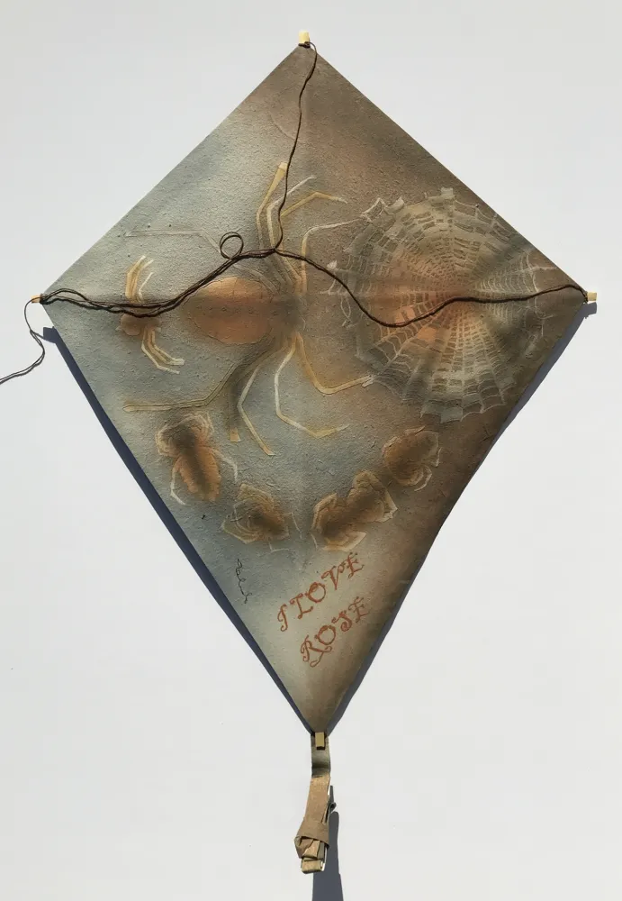 Keine Technische Toledo - Spiders with Web Kite