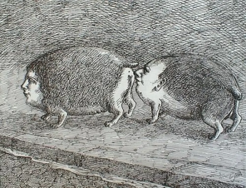 Stich Topor - Senza titolo