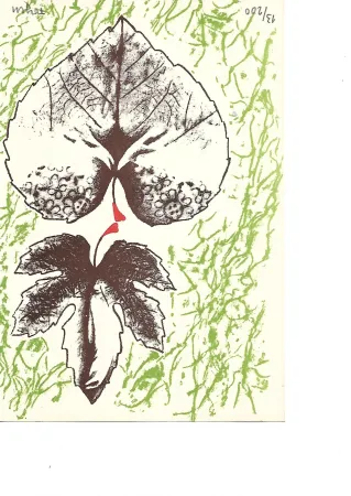 Lithographie Toyen -  Krabicka prvni pomoci - Boîte alerte (1959)