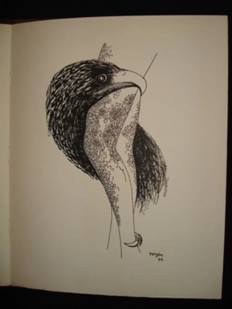 Illustriertes Buch Toyen - Le puits dans la tour / TOYEN. Débris de rêves