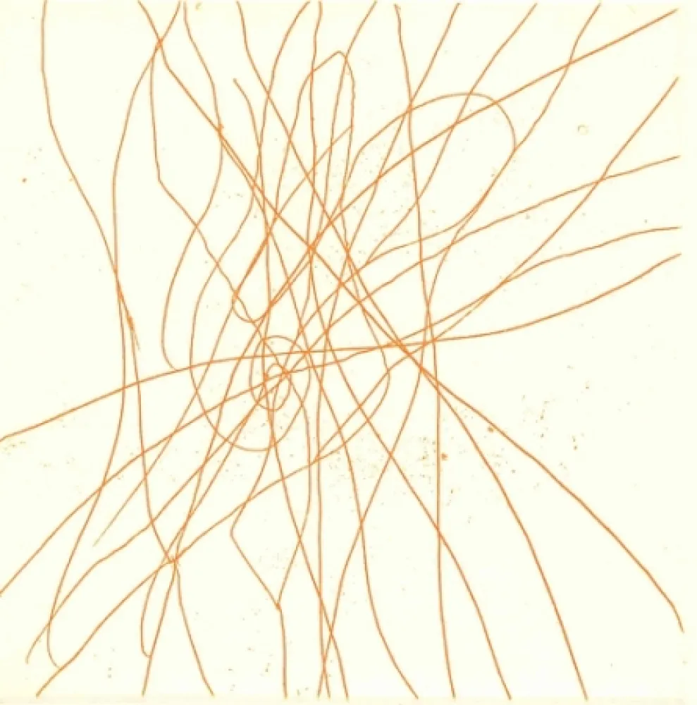 Illustriertes Buch Turcato - Poesie giovanili