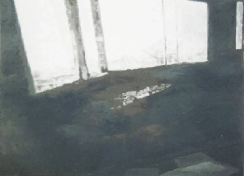 Siebdruck Tuymans - Fenêtres